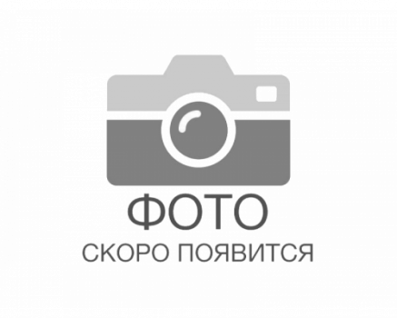 Плита поверочная  400x 400 (разметочная) гранит кл.точн.0 ЧИЗ ГОСТ10905-86  (№76927-19)